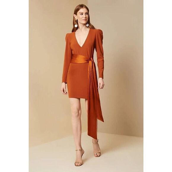 SACHIN + BABI Long Sleeve Amina Satin Tie Dress Burnt orange size US US 8 $550 - Picture 1 of 7